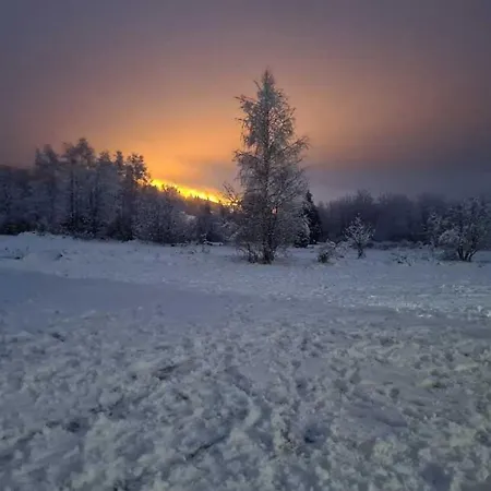 Jurgowski Dom wakacyjny *